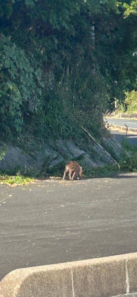 11月8日　19時のあなた様
