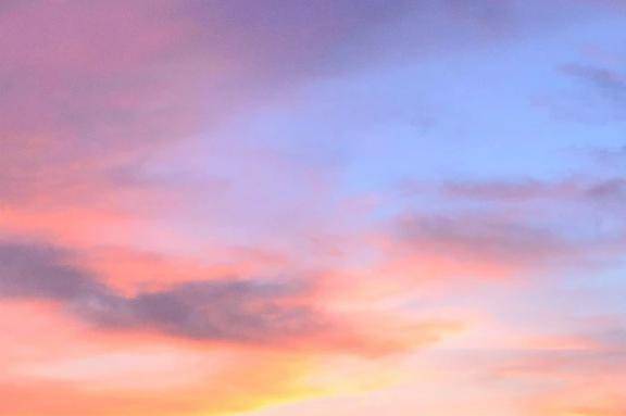 (11/11)セレナーデのお客様