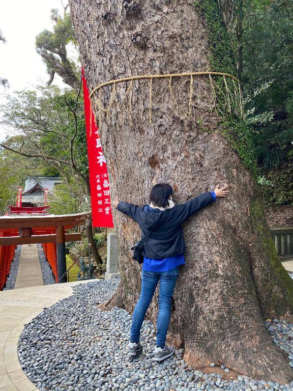 11月21日　15時のあなた様