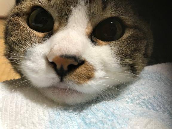 11月21日　23時のあなた様