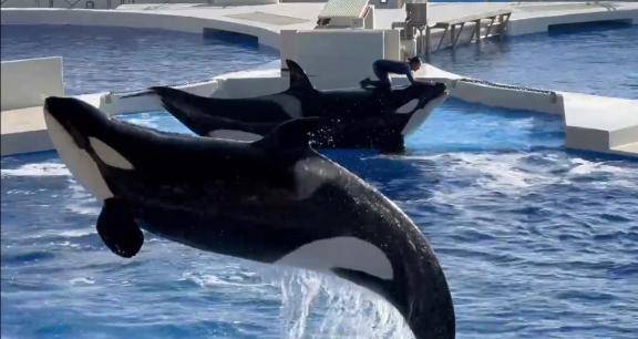 今月の出勤予定