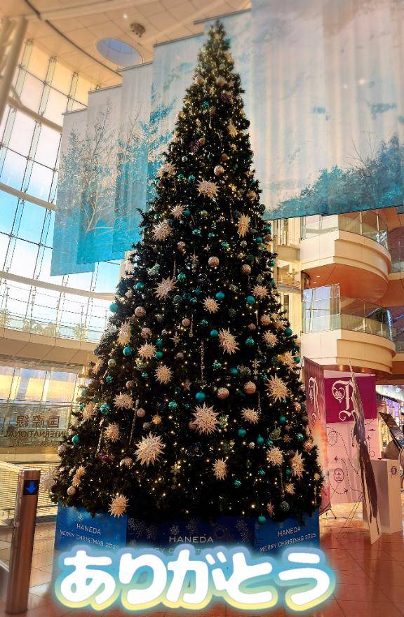 28日のご予約ありがとうございます