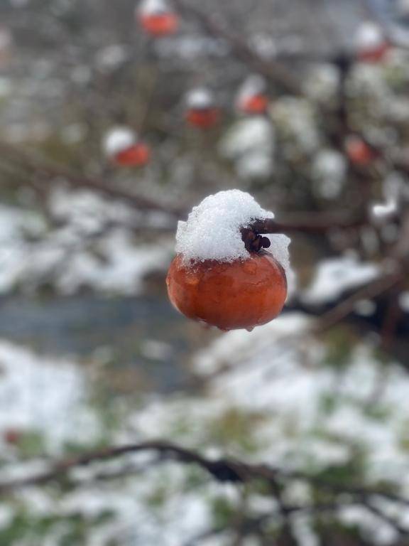 1月4日　13時のあなた様