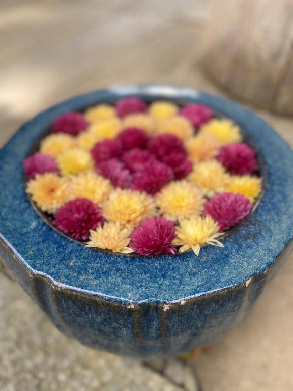 1月4日　15時のあなた様