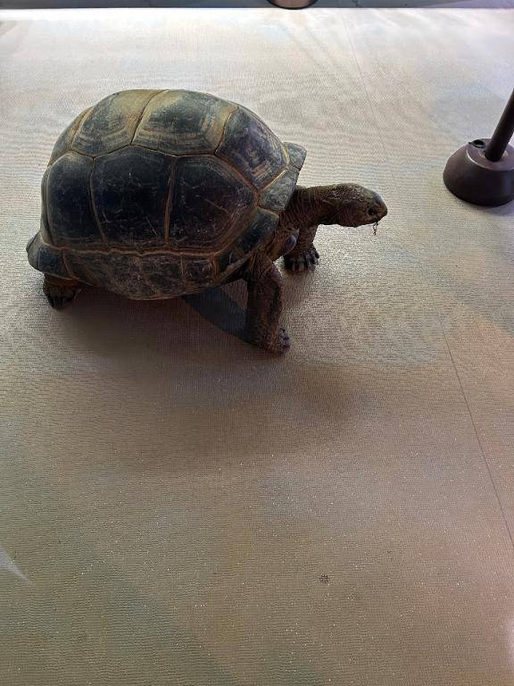 1月9日　14時のあなた様