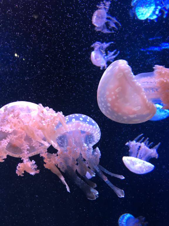 1月9日　18時のあなた様