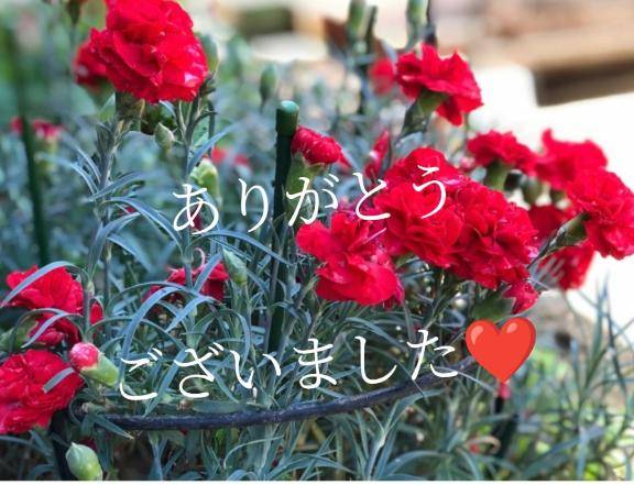 セレナーデのＳさまへお礼です?