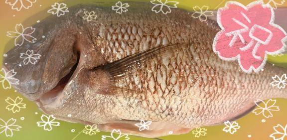 26日のTHANKS備忘録～其ノ弐