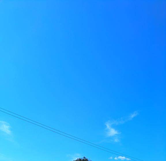 広島にも売っとるよ