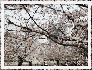 おはようございます♪