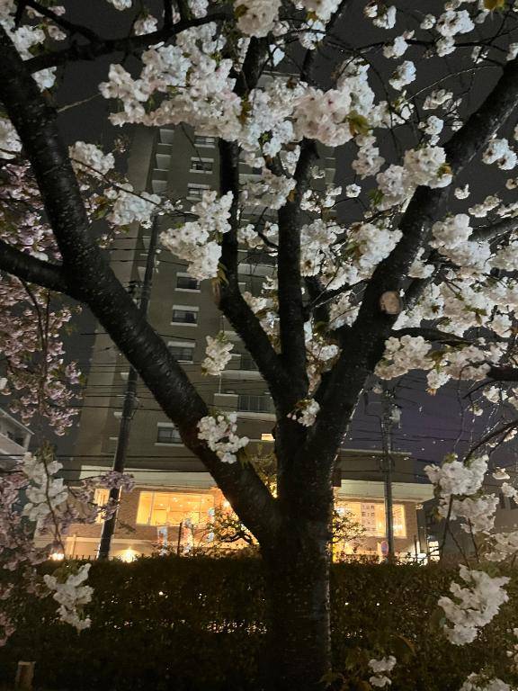 4月9日　2in1 T様