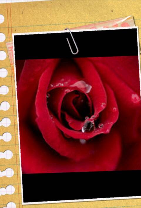 おはようございます♪