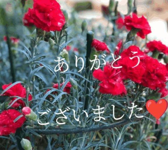 お礼です?
