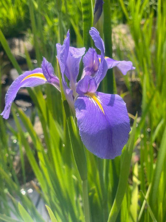 5月15日　15時のあなた様
