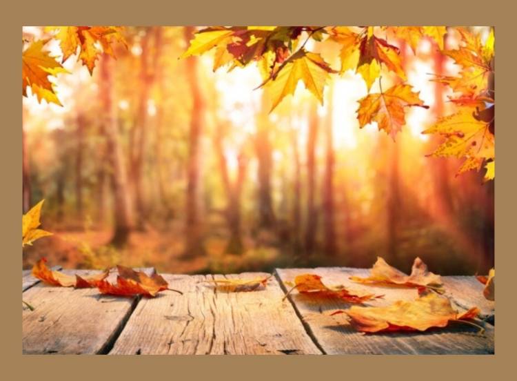 お久しぶりです??