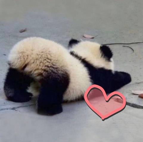 十和子(とわこ)（五十路エステ　ハイブリッド(カサブランカグループ)）