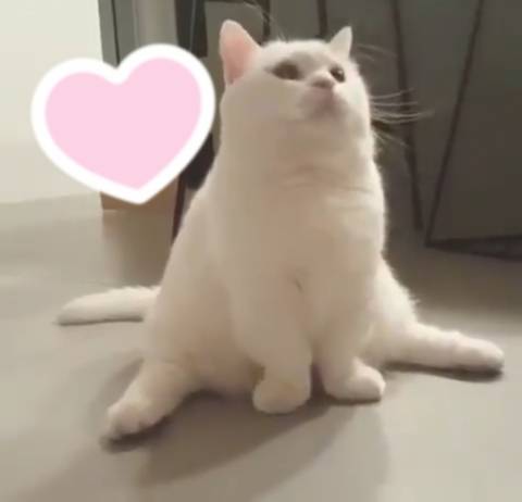 本日のお礼☆