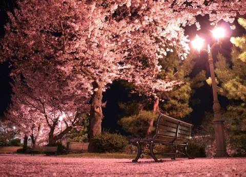夜の福山