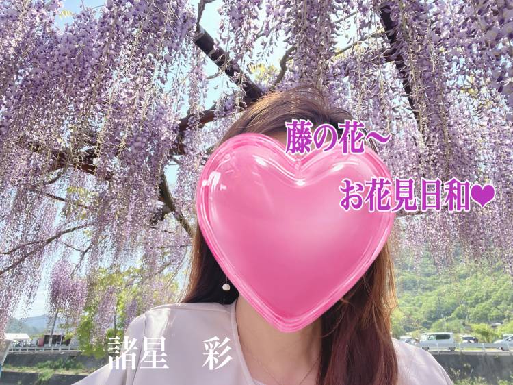 春を彩る
