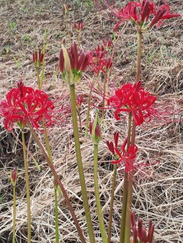 おはようございます＼(^o^)／