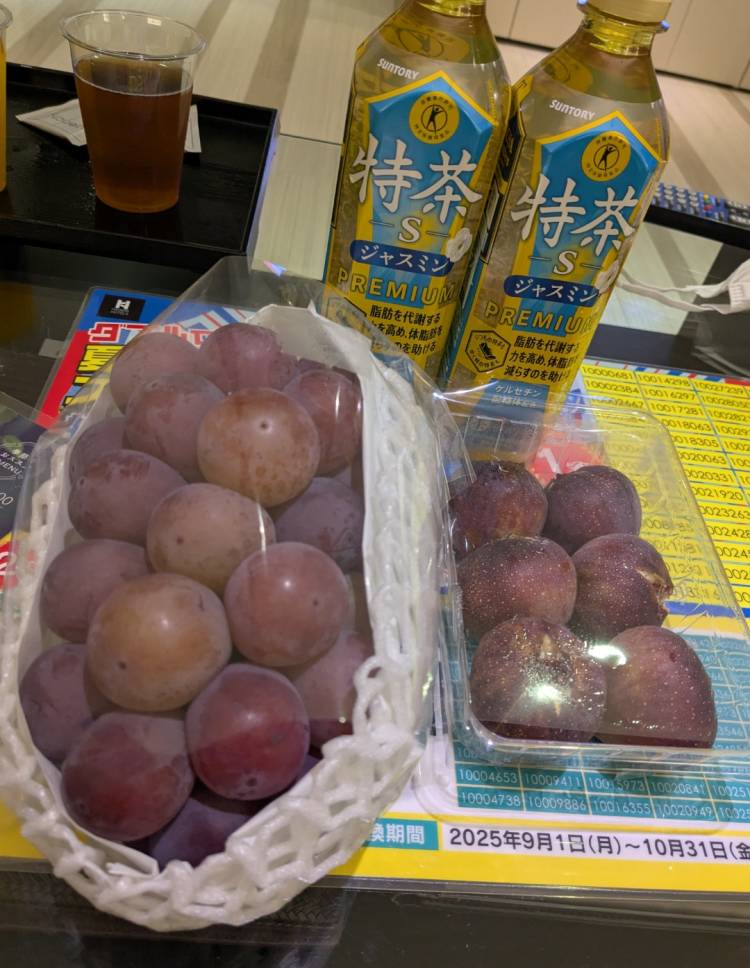 粋のIさま（240）