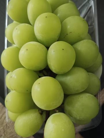 おはようございます(^o^)