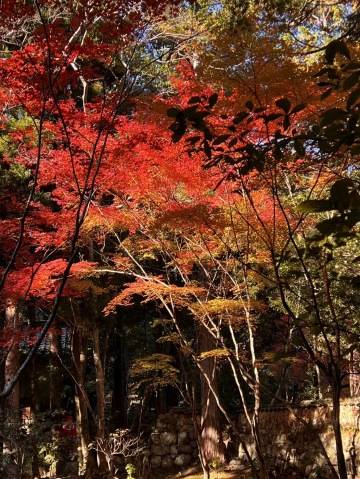 ごめんなさい…?(>_<。)