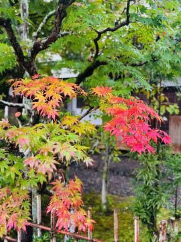 今週末のお仕事???.*・゜