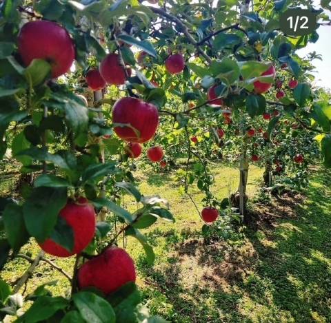 わたしって…??  Part7