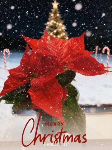 ★ご予約の貴方様へ★