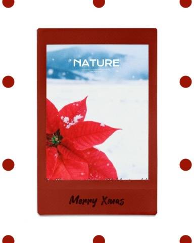 ★昨日のお礼★