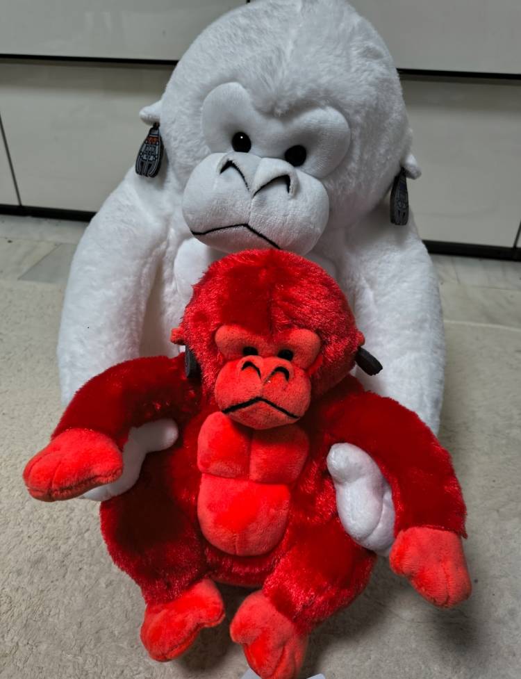 30日2番目の口コミのＩ様