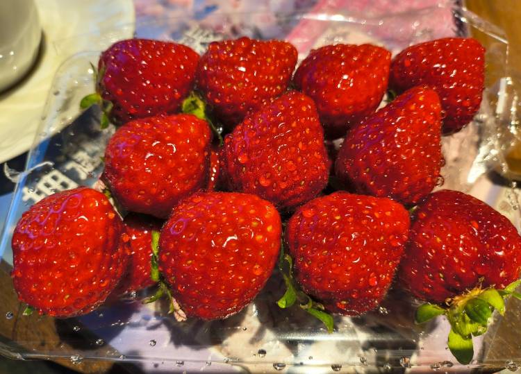 28日レクレールI様