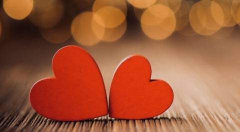 2月後半の出勤予定です