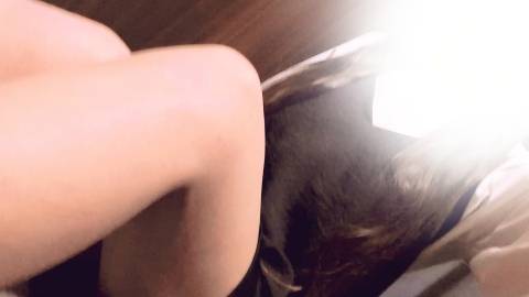 おはようございます??