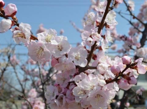 平日出勤します♪