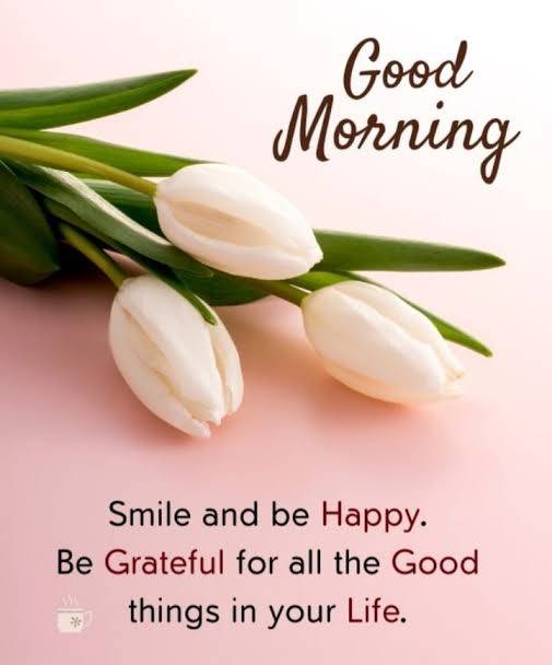 おはようございます♪