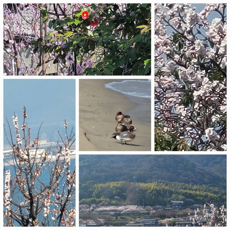 おはようございます＼(´Ｏ｀)／