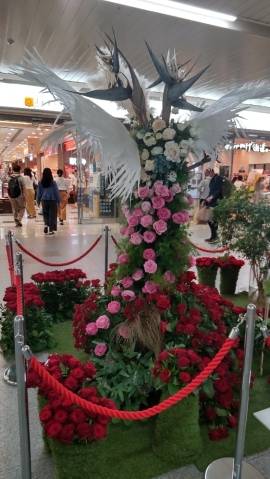 薔薇まつり(^O^)??