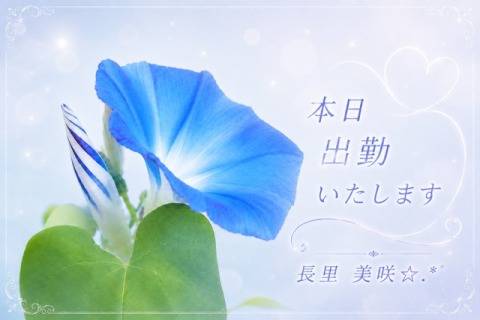 本日夕刻から?