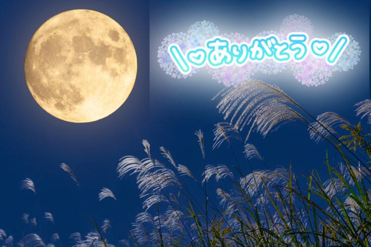 粋で呼んでくれたY様?