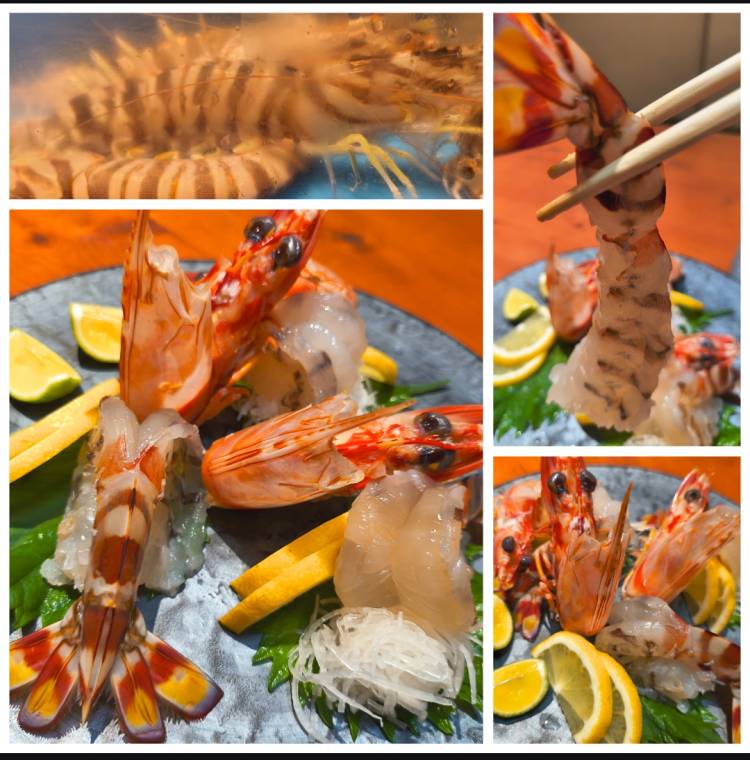 16日お食事デートY様（300）