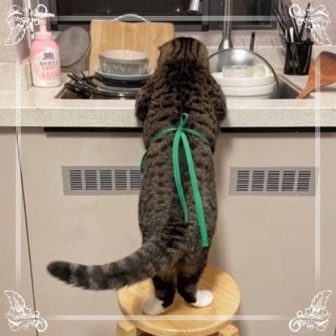 中居ちはるです♪