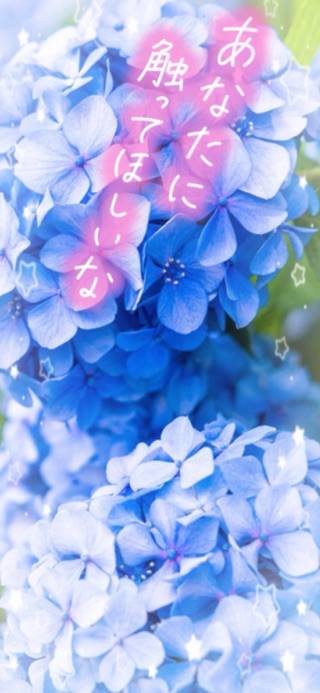 こんにちは。