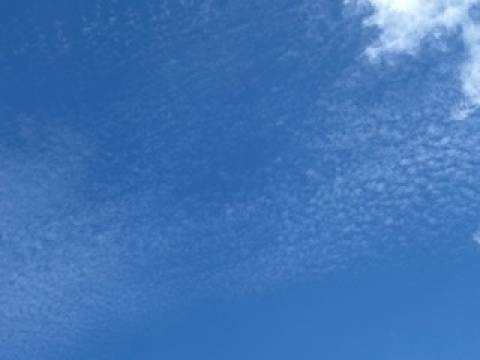 今日は最後の日