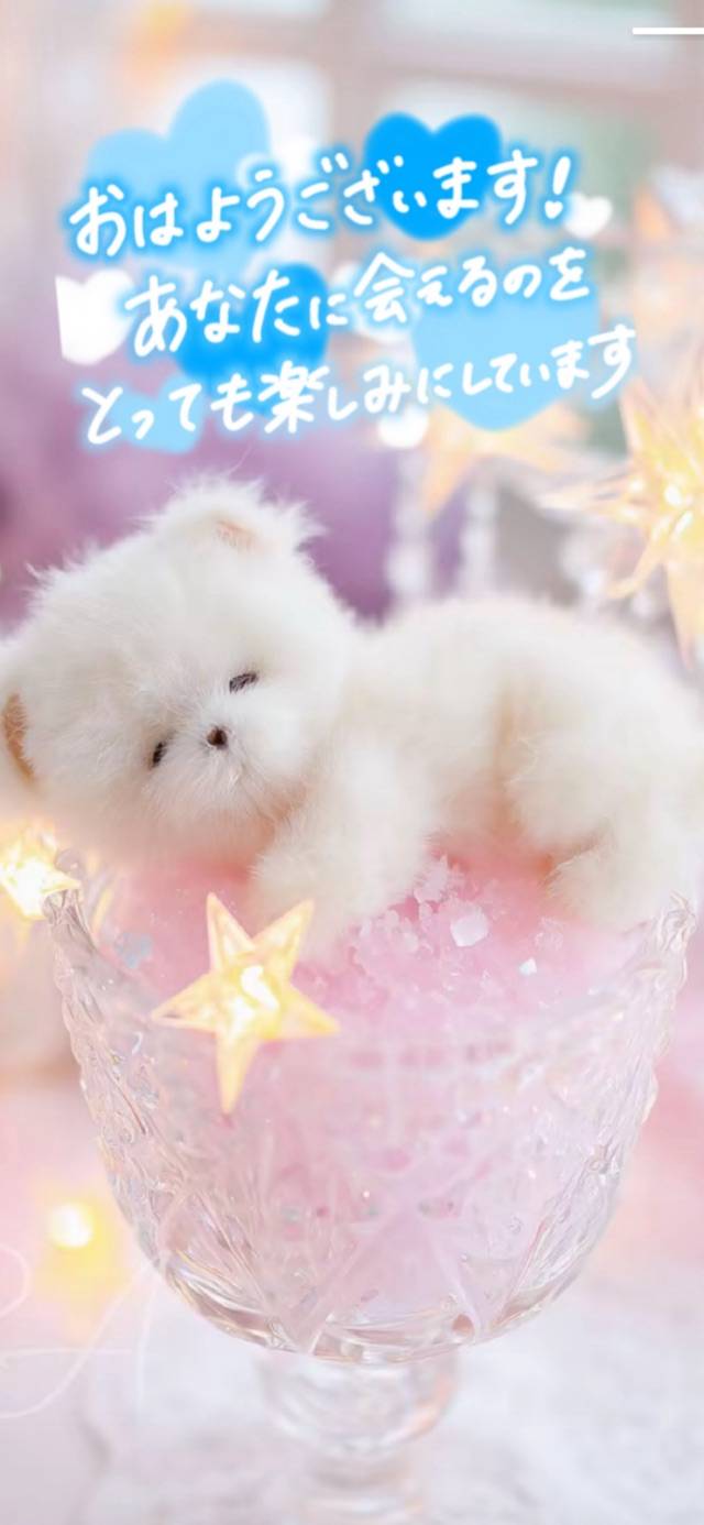 おはようございます。