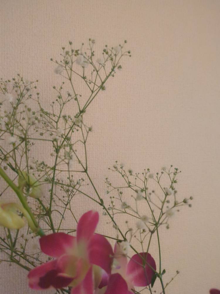 こんばんは