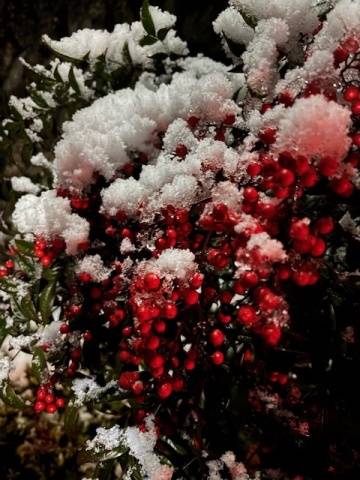 三原の出勤情報♪