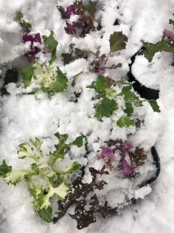 今日はお休みします(???)