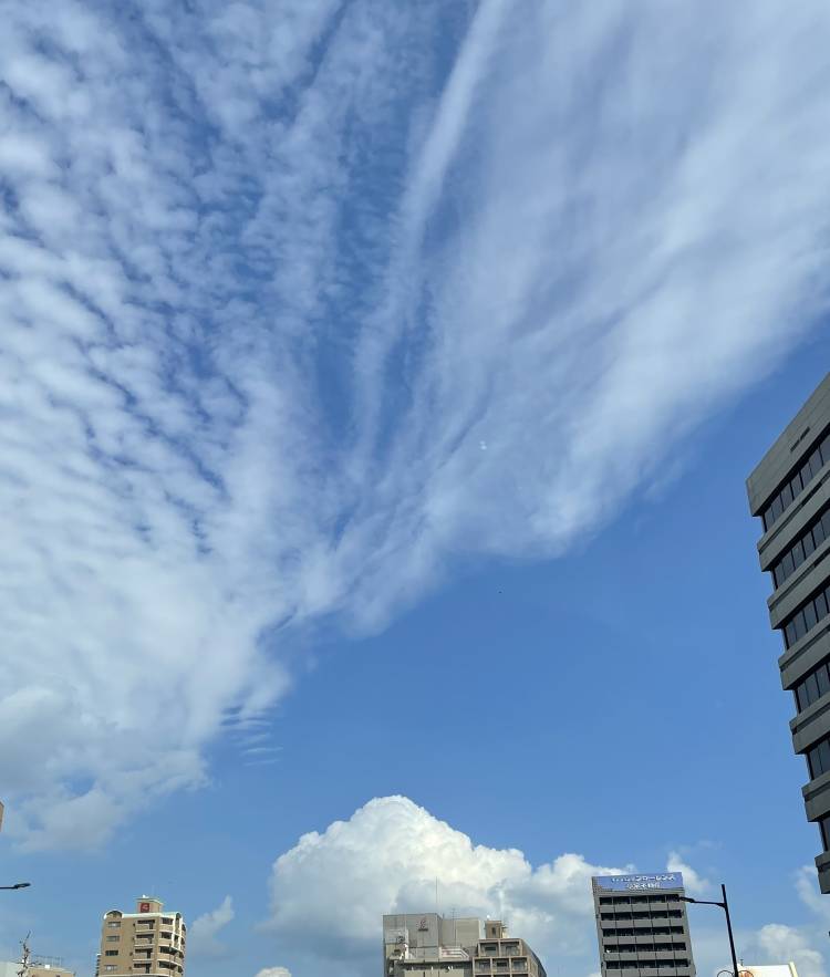 乙女心と秋の空